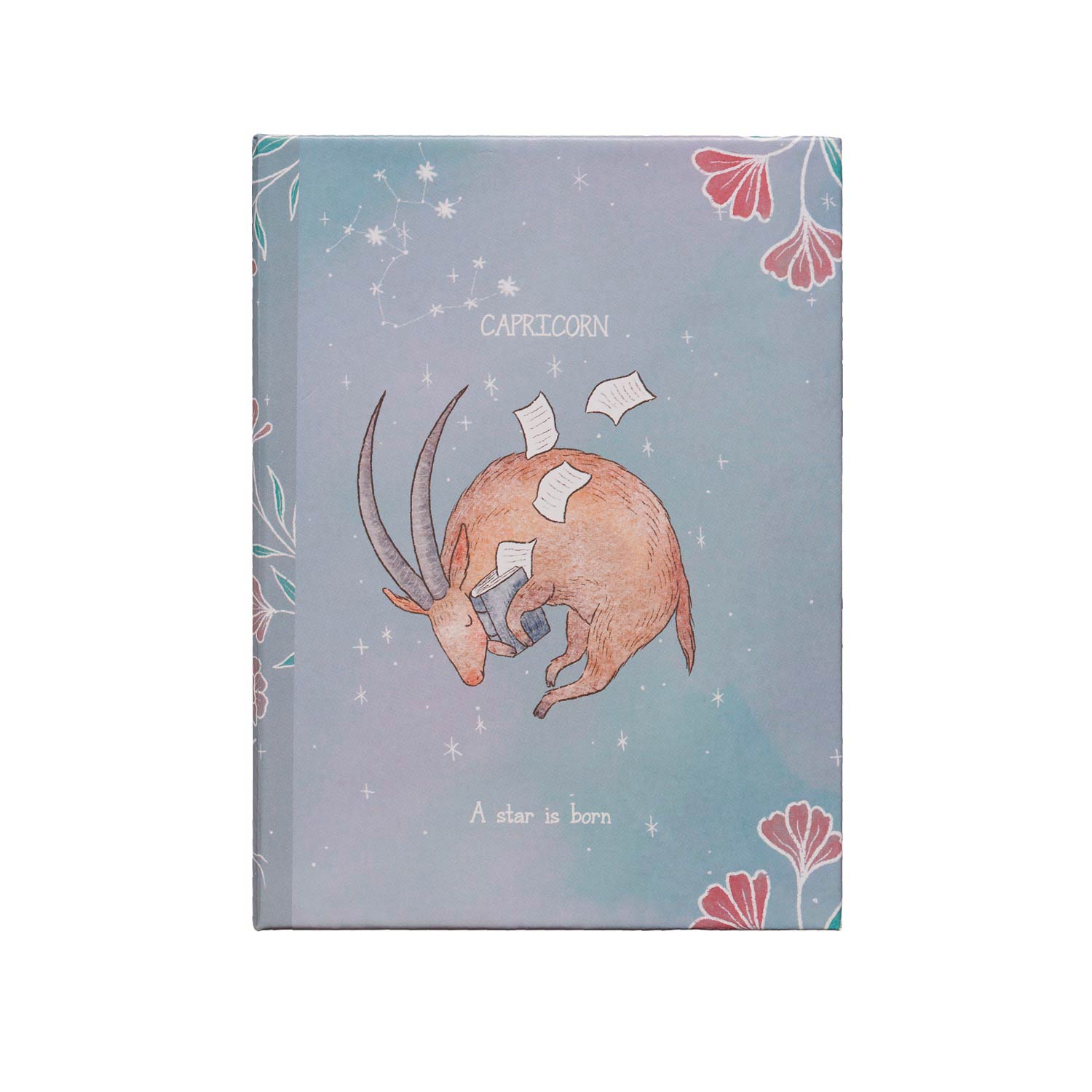 Capricorn teething toy beautifully illustrated gift box.