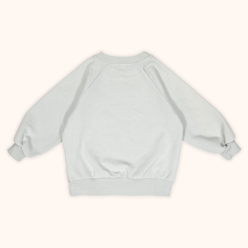 Organic Cotton T-Sweat Set “Leo”