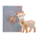 Capricorn
