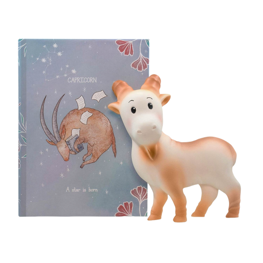 Unique Capricorn teething toy that is carefully hand-painted & presented in a beautiful colourful box. Being born between 22nd of December and 19th of January, you will be part of the Capricorn zodiac sign.